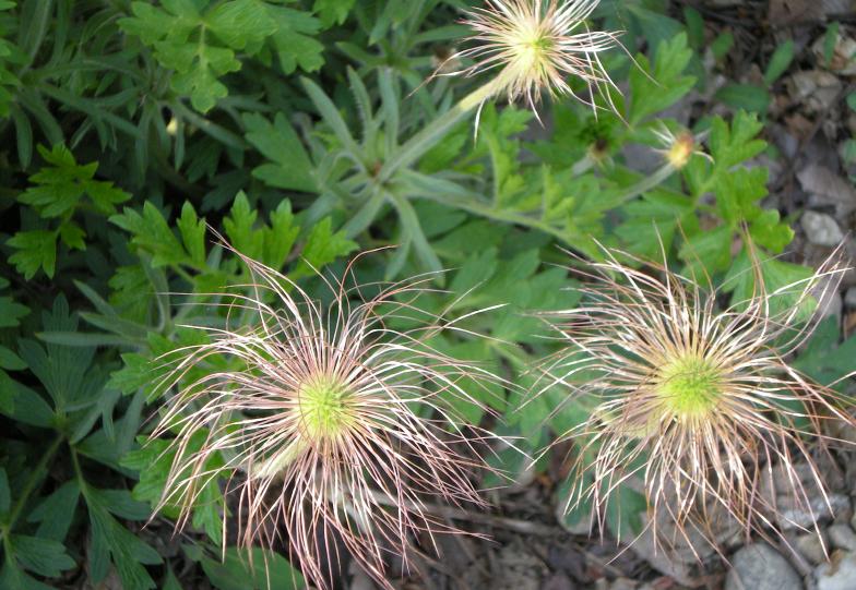 크게 보시려면 클릭~