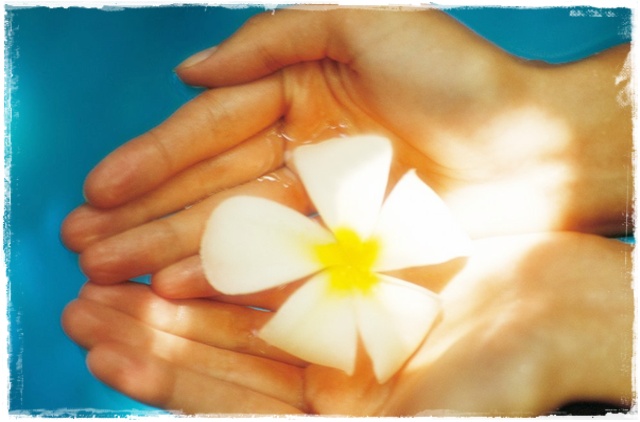 Ȧ�ν� �����ٷ��(HEART��)  2�� ��ũ��
