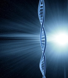 크게 보시려면 클릭~