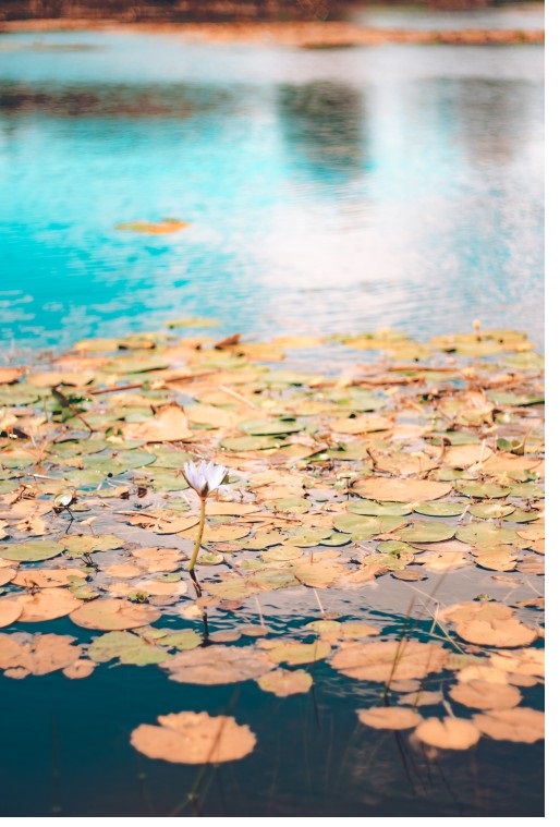 크게 보시려면 클릭~