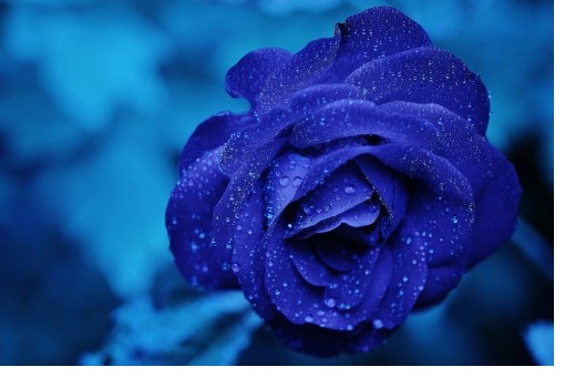 크게 보시려면 클릭~