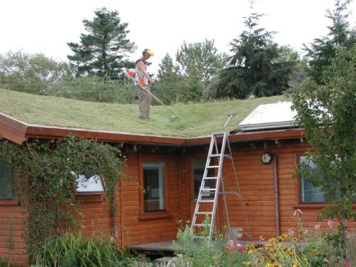 ũ�� ���÷��� Ŭ��~