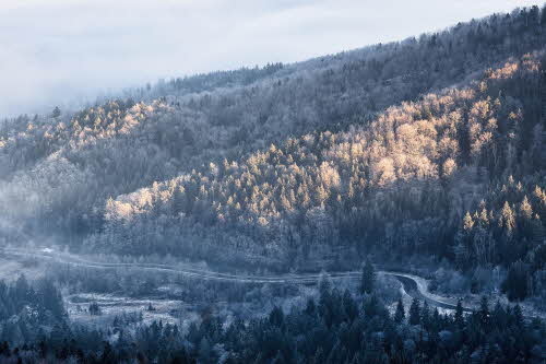 ũ�� ���÷��� Ŭ��~