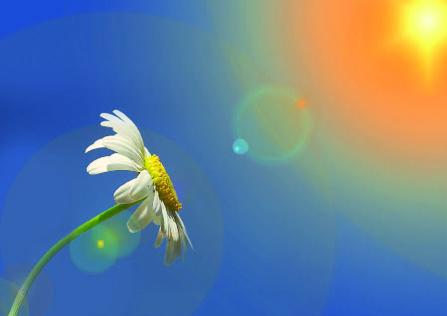 �ܼ��ҹ��� ���� �츮 ����� ������ �ູ�� �� [162ȣ]